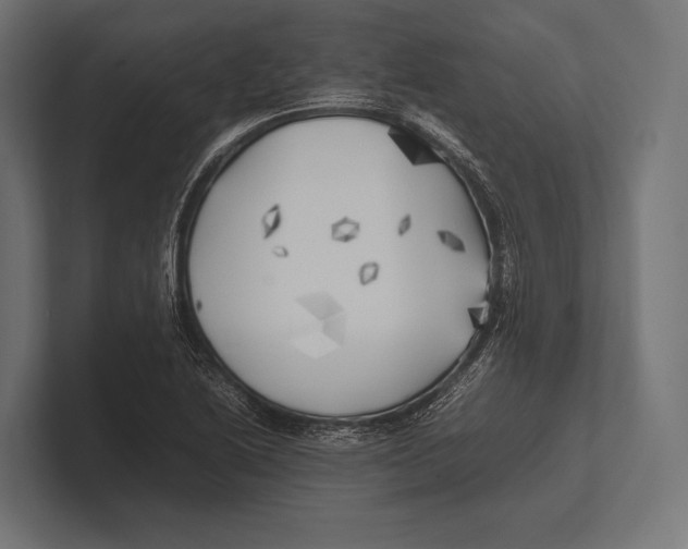 X0000100231222200806201437