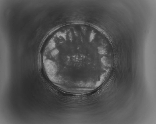 X0000100231223200806201437