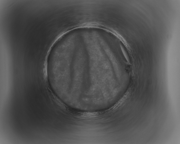 X0000100231224200806201437