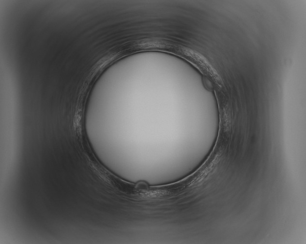 X0000100231225200806201437