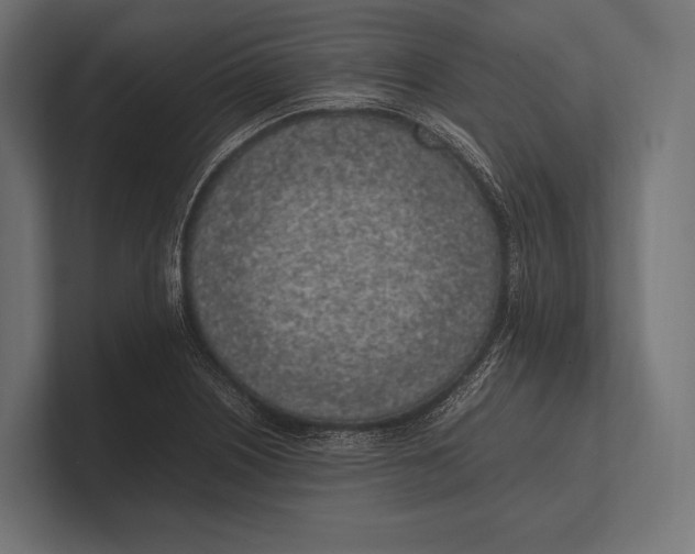 X0000100231226200806201437