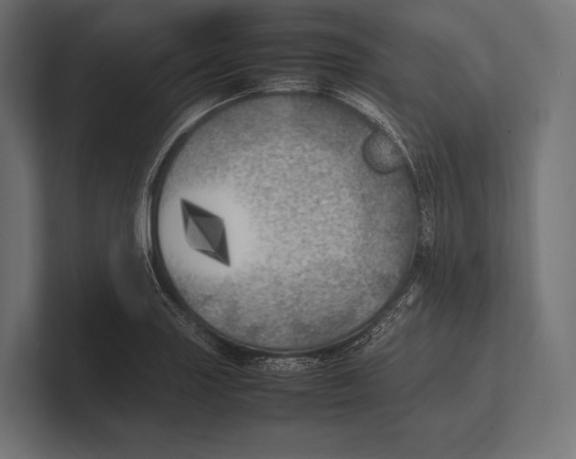 X0000100231227200806201437