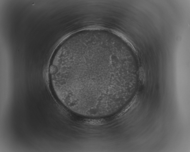 X0000100231229200806201437