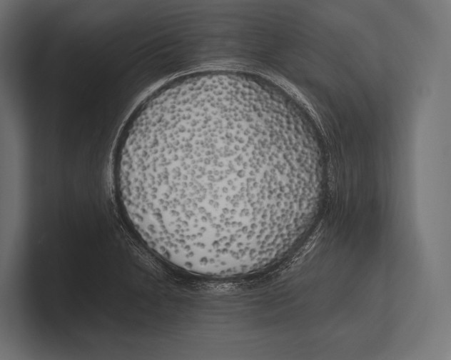 X0000100231230200806201437