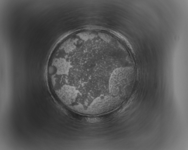 X0000100231231200806201437