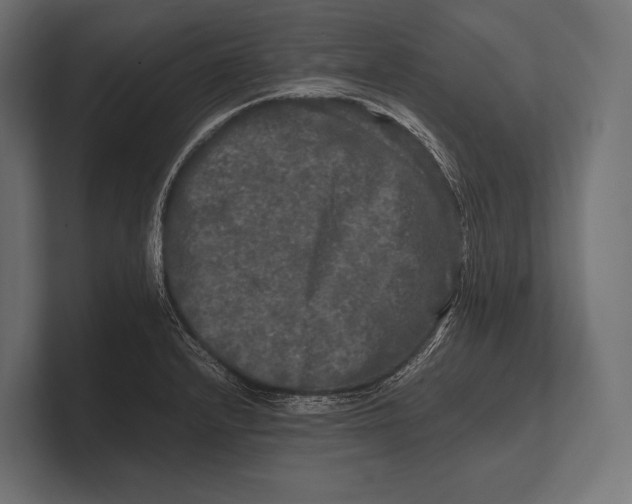 X0000100231232200806201437