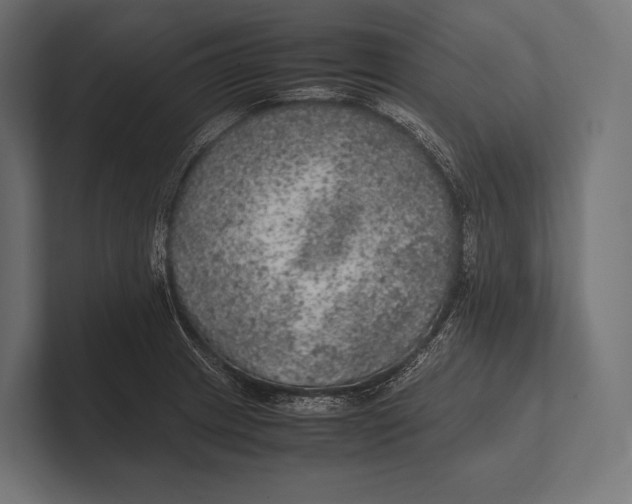 X0000100231233200806201437