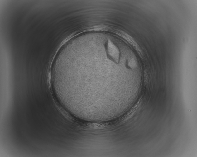 X0000100231234200806201437