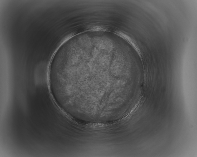 X0000100231235200806201437