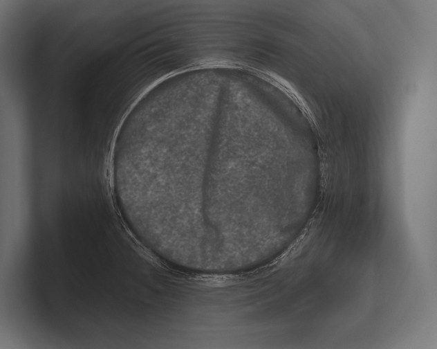 X0000100231236200806201437