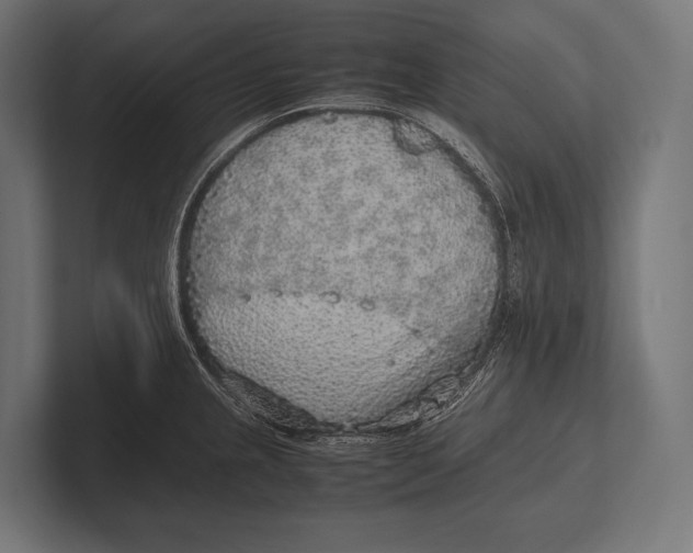 X0000100231237200806201437