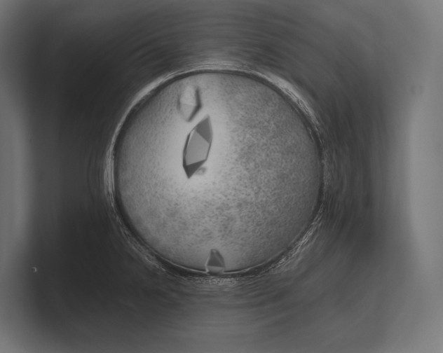 X0000100231238200806201437