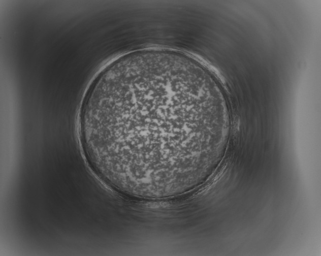 X0000100231239200806201437