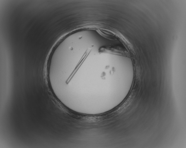 X0000100231240200806201437