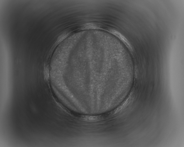 X0000100231241200806201437