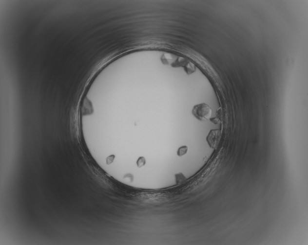 X0000100231242200806201437