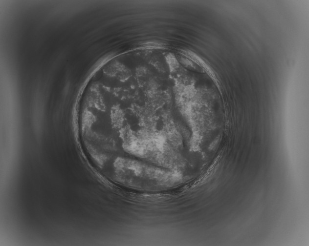 X0000100231243200806201437