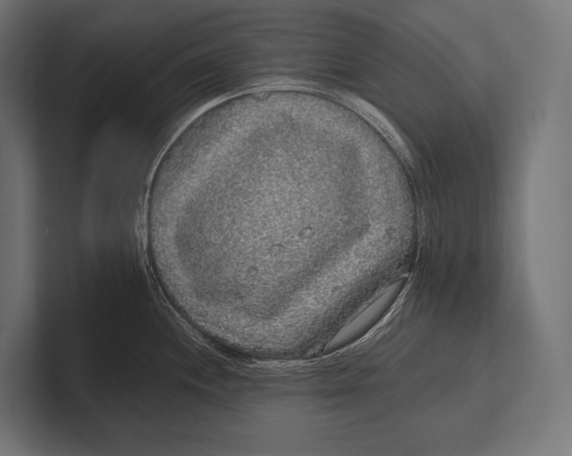 X0000100231244200806201437