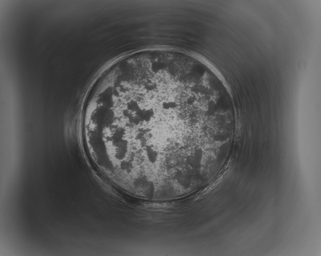 X0000100231245200806201437