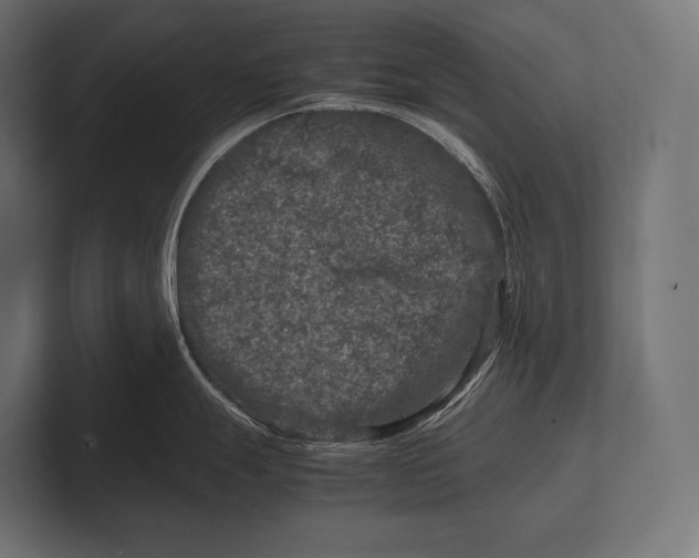 X0000100231247200806201437