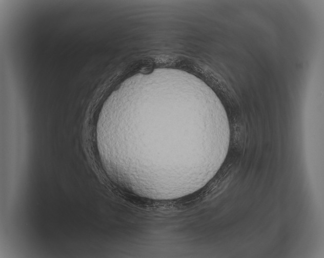 X0000100231249200806201436