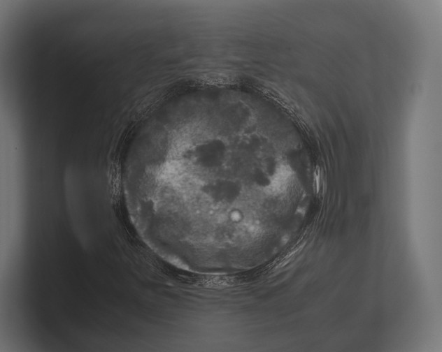 X0000100231251200806201436