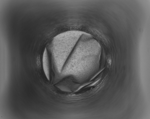 X0000100231252200806201436