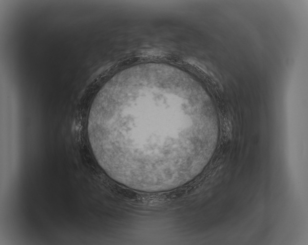 X0000100231254200806201436