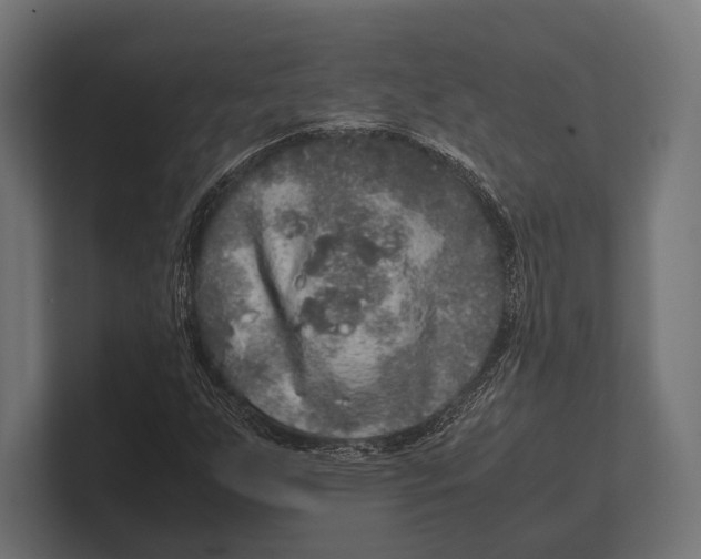 X0000100231255200806201436