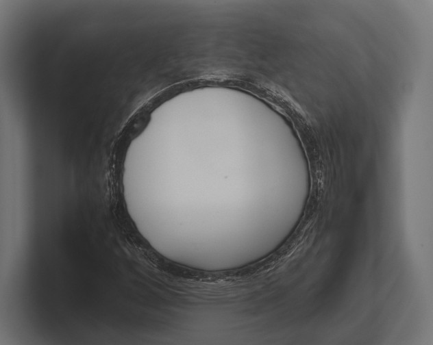 X0000100231256200806201436