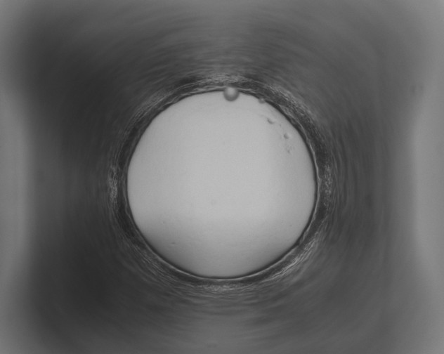 X0000100231257200806201436