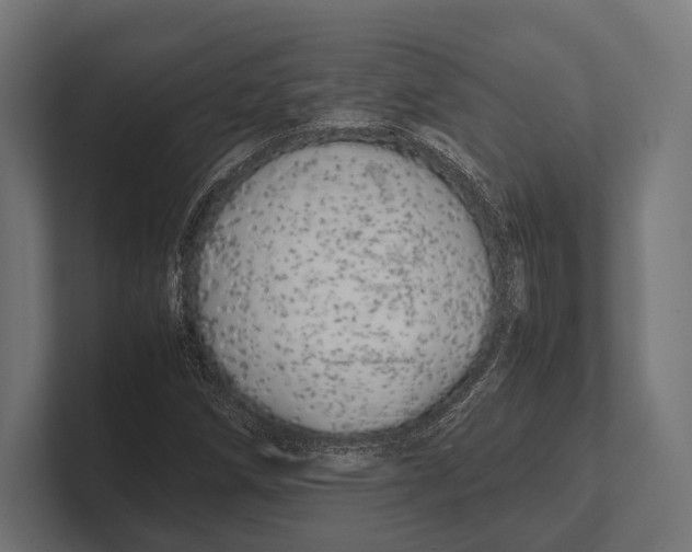 X0000100231258200806201436