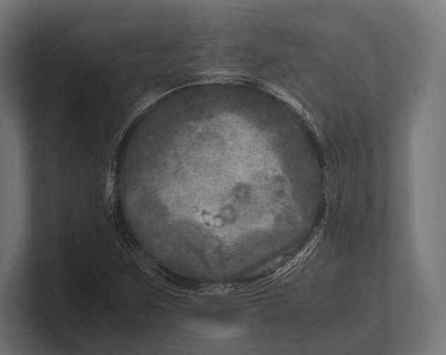 X0000100231259200806201436