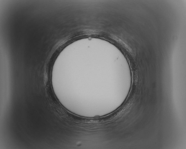 X0000100231261200806201436