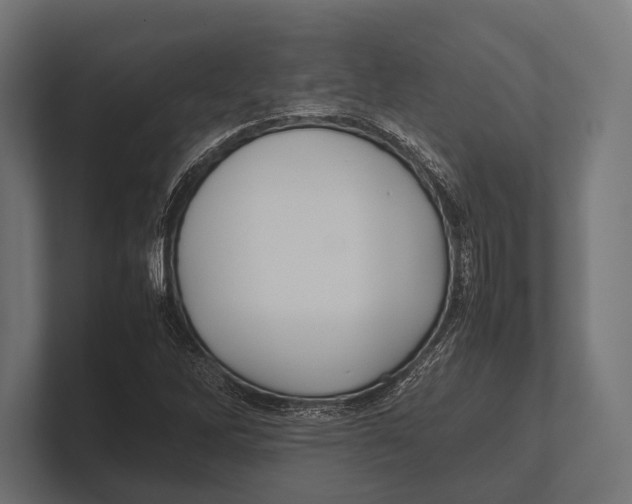 X0000100231262200806201436