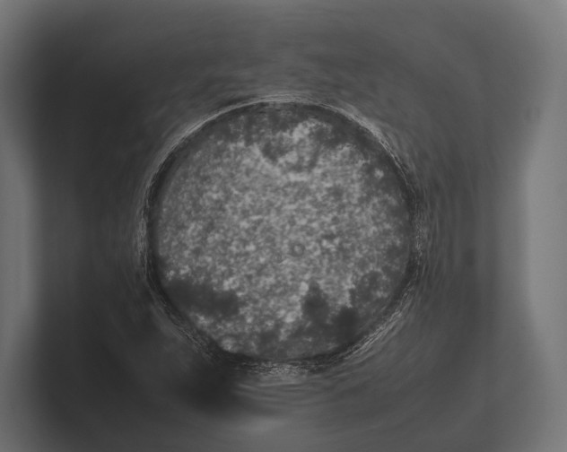 X0000100231263200806201436