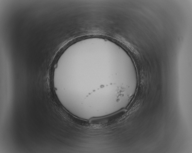 X0000100231264200806201436