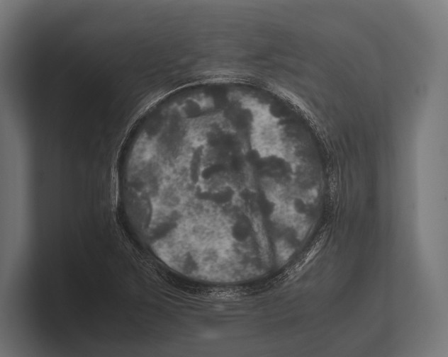 X0000100231267200806201436