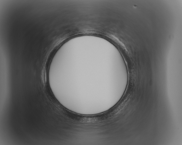 X0000100231269200806201436