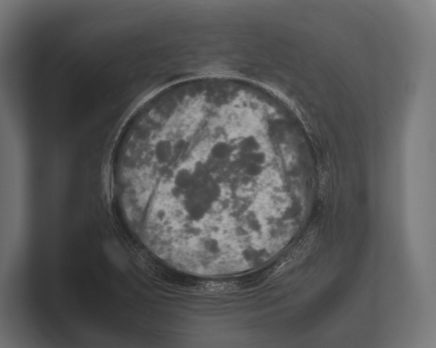 X0000100231271200806201436