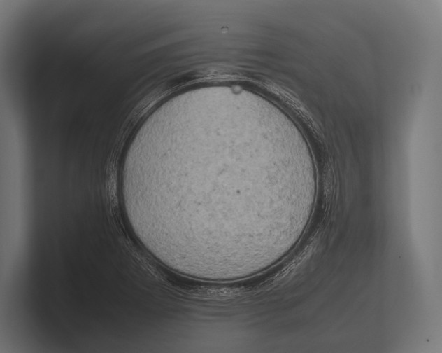 X0000100231273200806201436