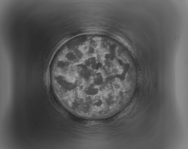 X0000100231275200806201436