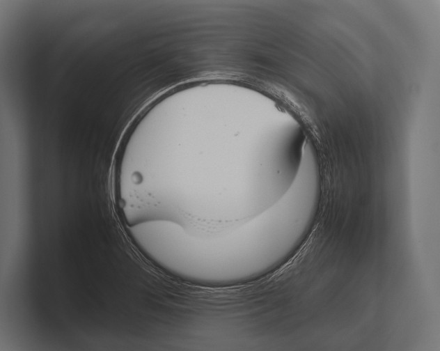 X0000100231276200806201436