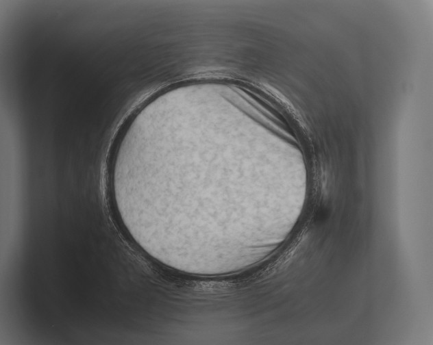 X0000100231277200806201436