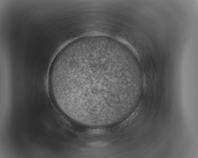 X0000100231278200806201436