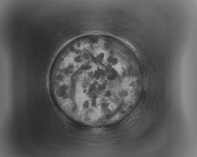 X0000100231279200806201436