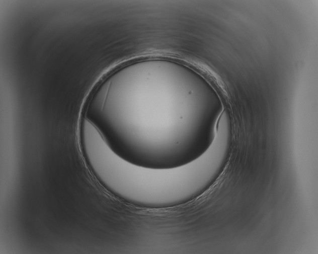 X0000100231280200806201436