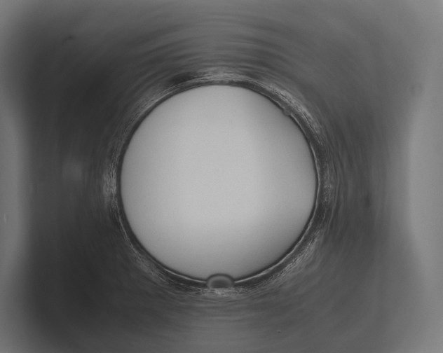 X0000100231281200806201436