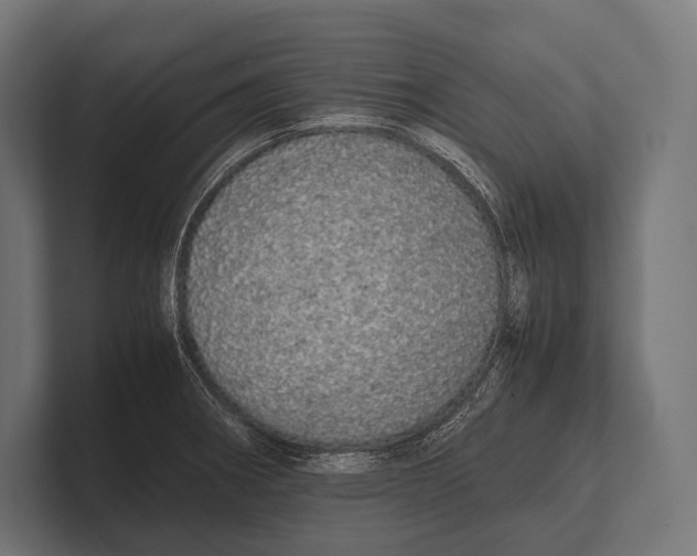 X0000100231282200806201436