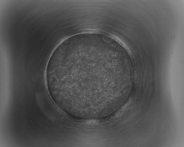 X0000100231283200806201436